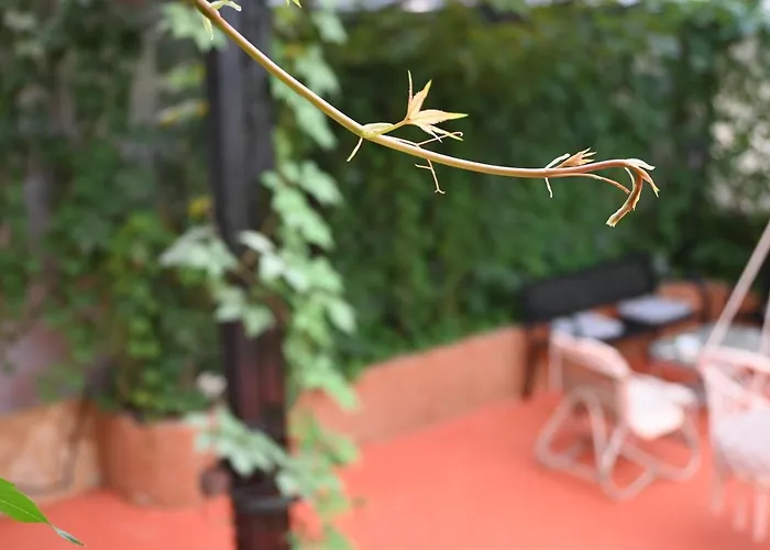 Magicland בית הארחה