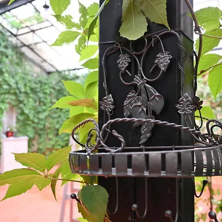 Pensiune Magicland 4*