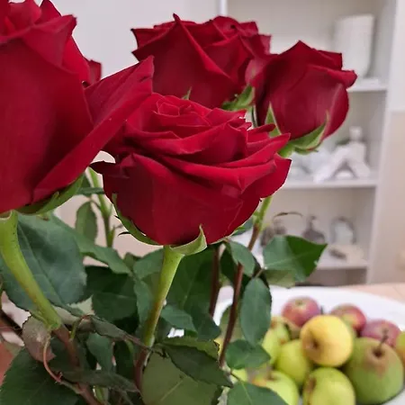 Magicland Casa de hóspedes