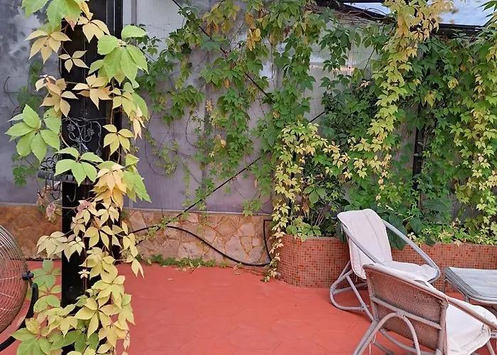 Magicland 招待所 4*